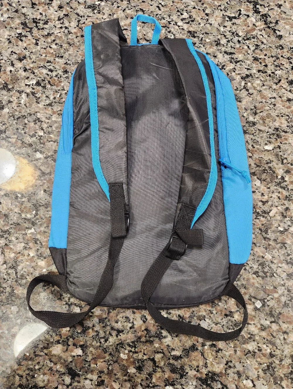 Blue Lightweight Carry Backpack